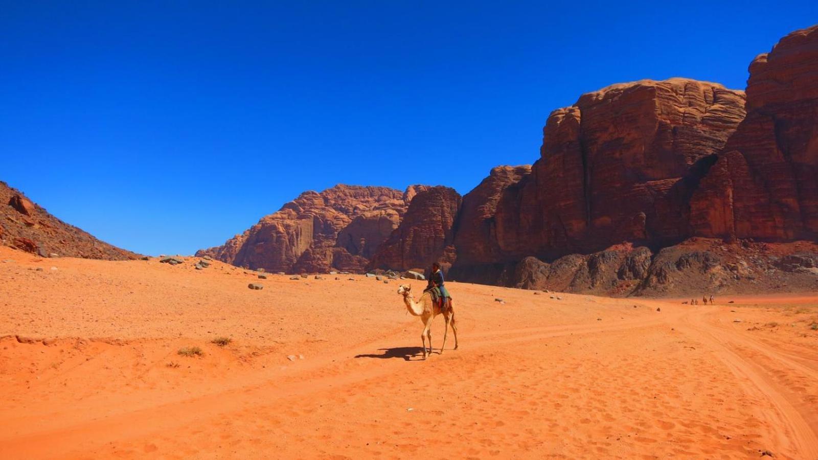Luxury tent Wadi Magic Nature Camp Wadi Rum