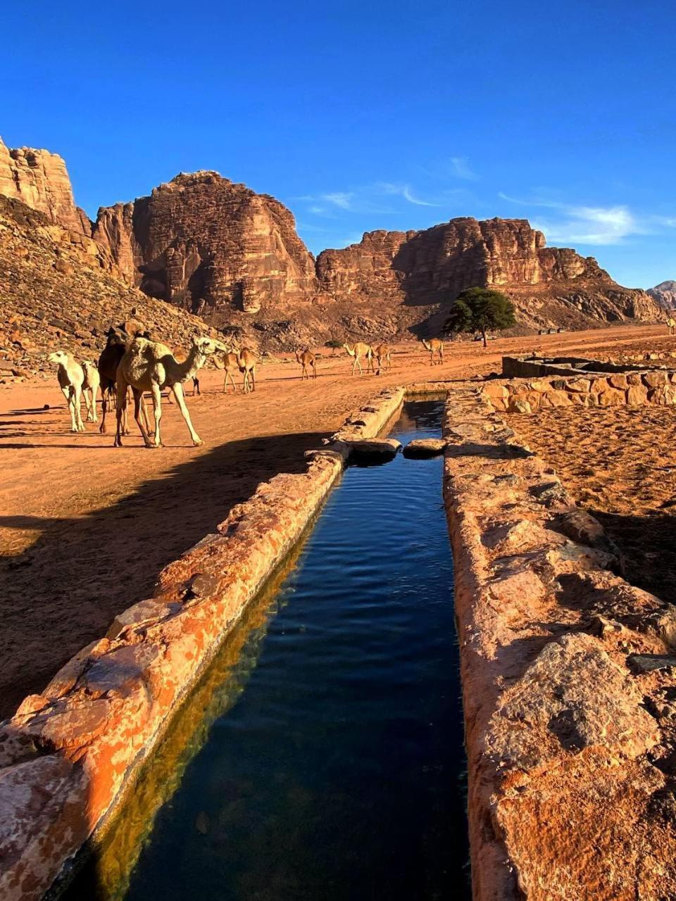 Wadi Magic Nature Camp *
