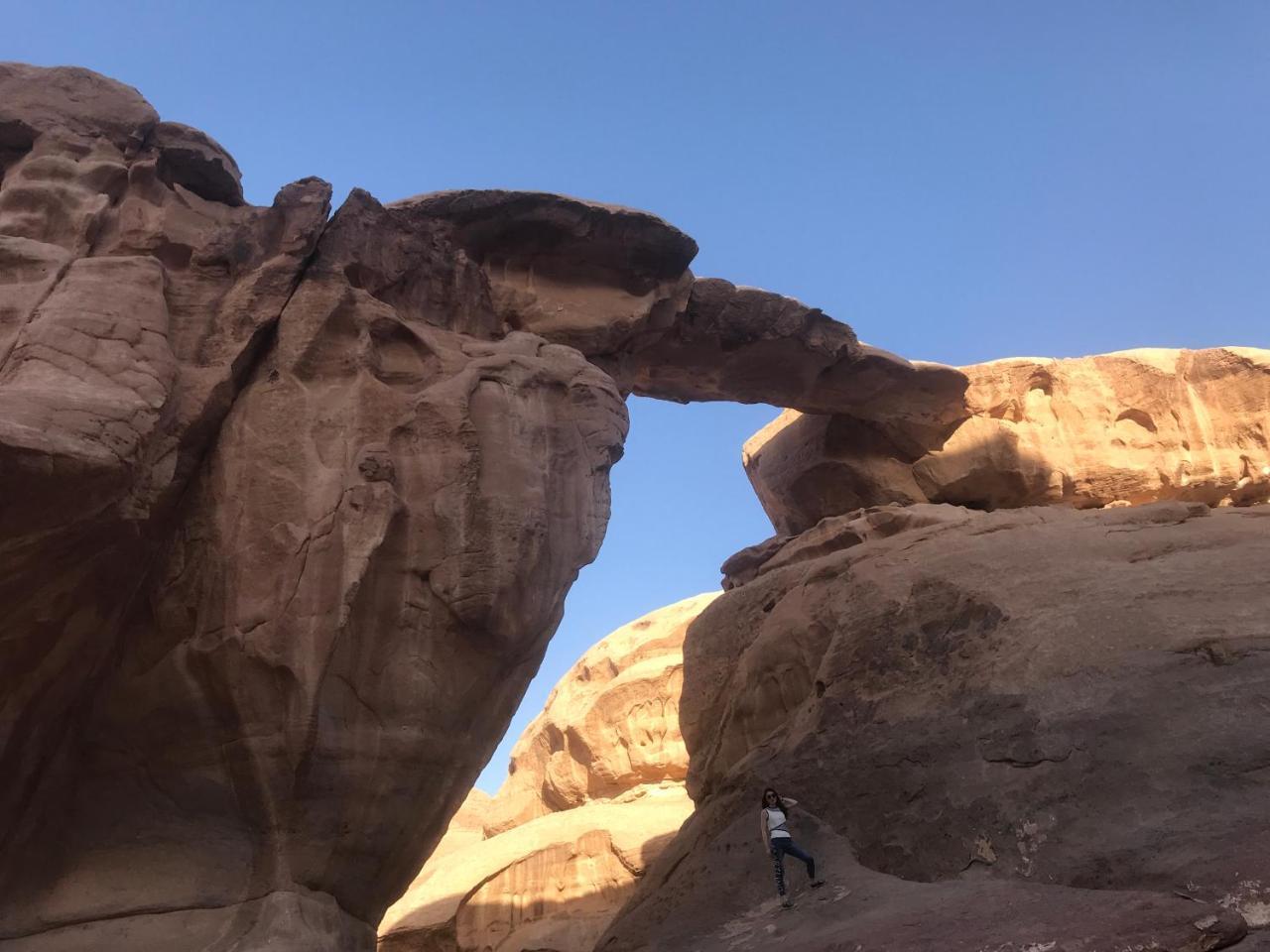 Wadi Magic Nature Camp *
